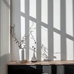 Bright Loft, By Cohost *