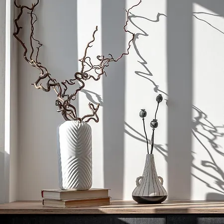 Bright Loft, By Cohost